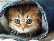 Cute Cat Jigsaw Puzzle