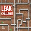Leak Challenge