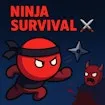 Ninja Survival