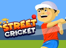 Street Cricket